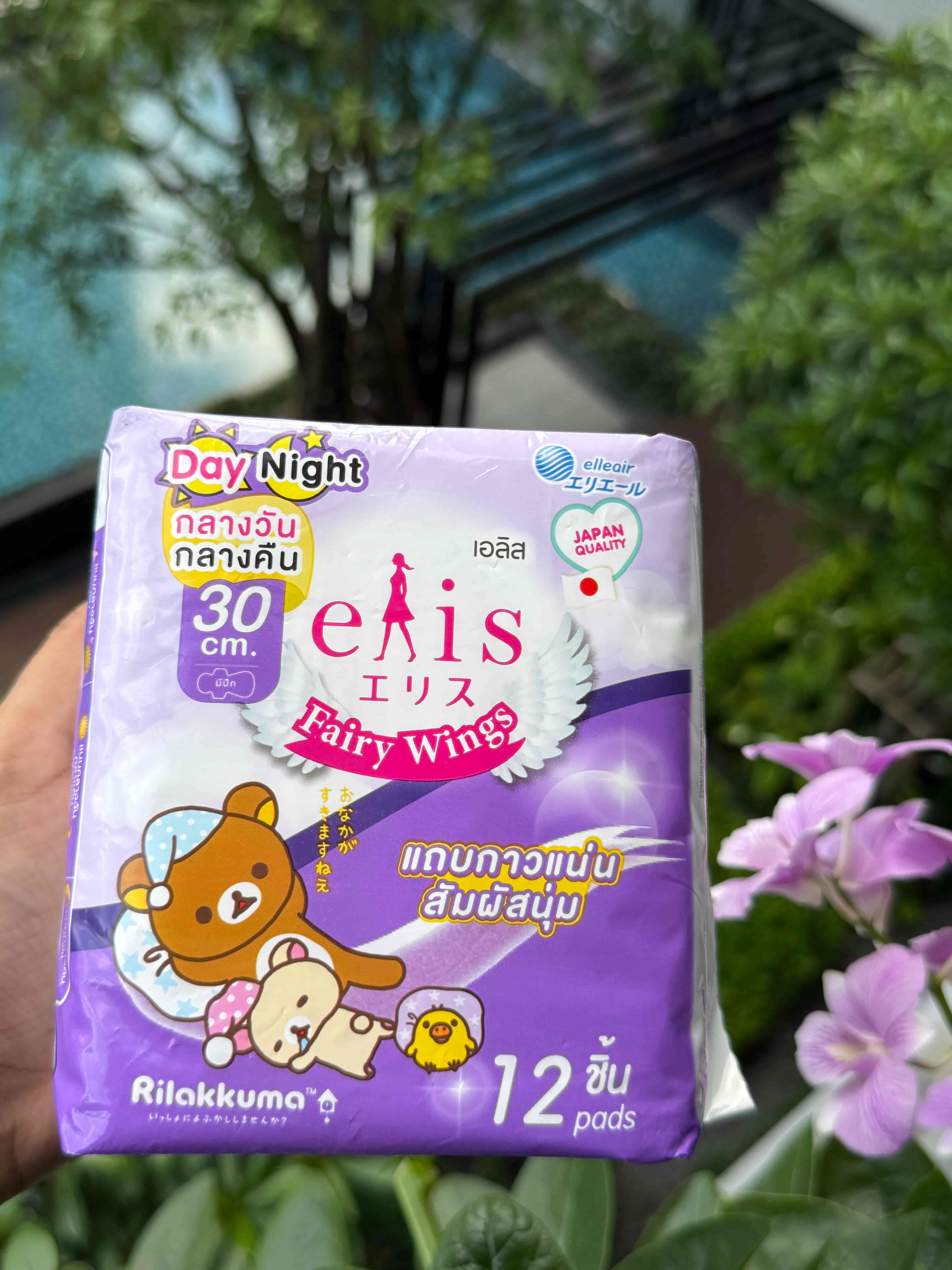 Elis Fairy Wings Day Night 3