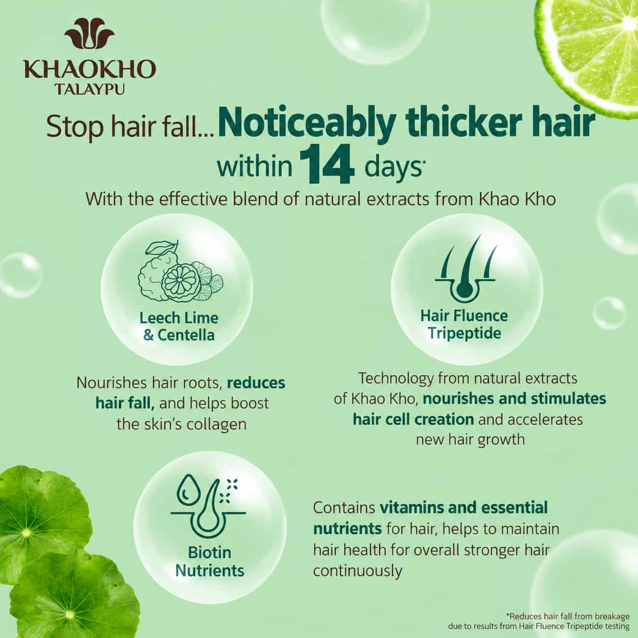 Khaokho Talaypu Organic Conditioner 280ml 4