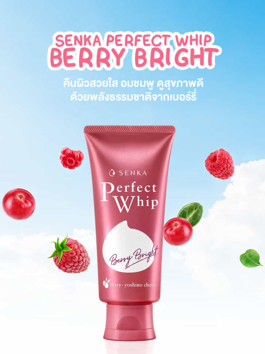Senka Perfect Whip 3