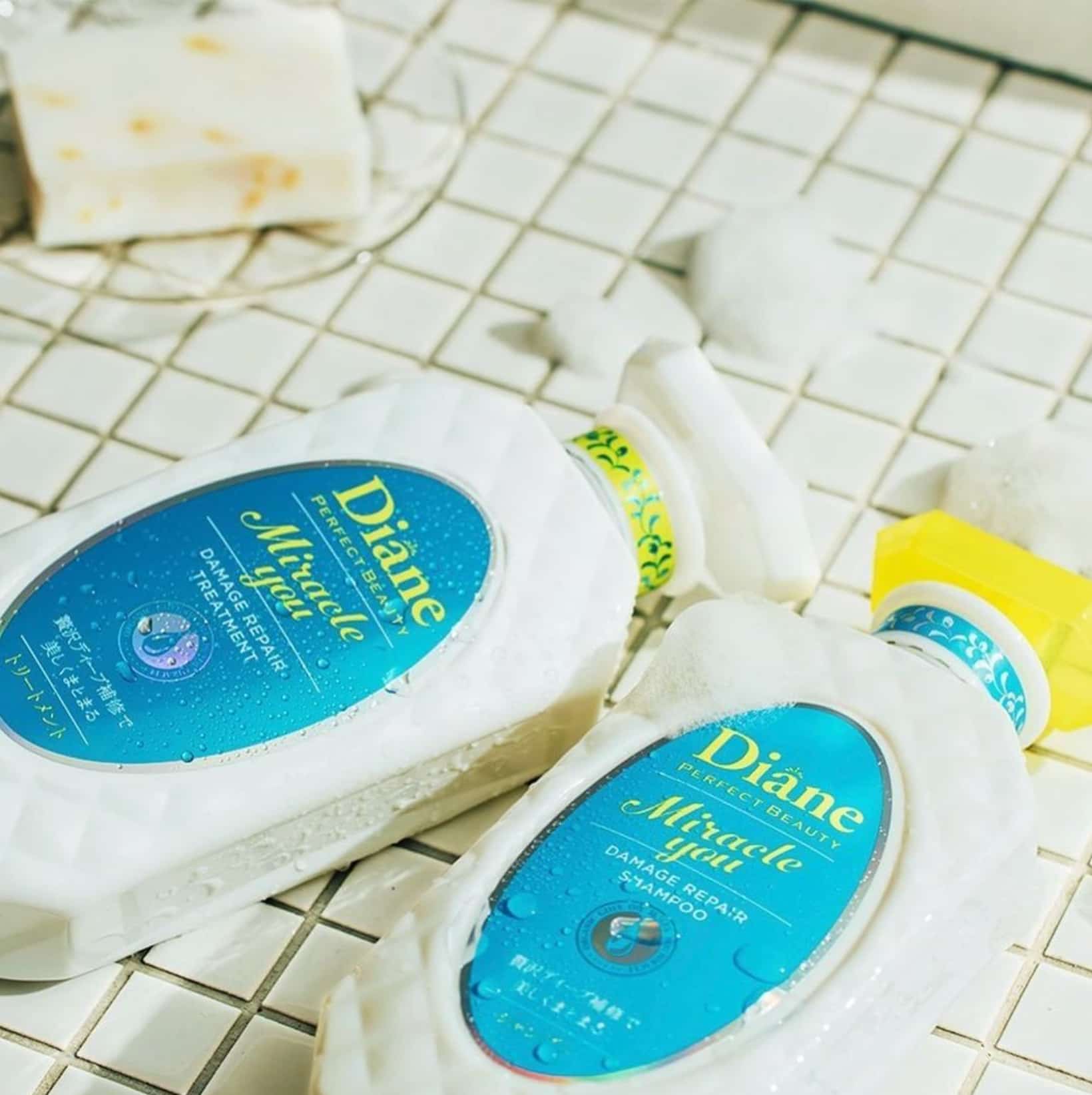 Moist Diane Shampoo 2
